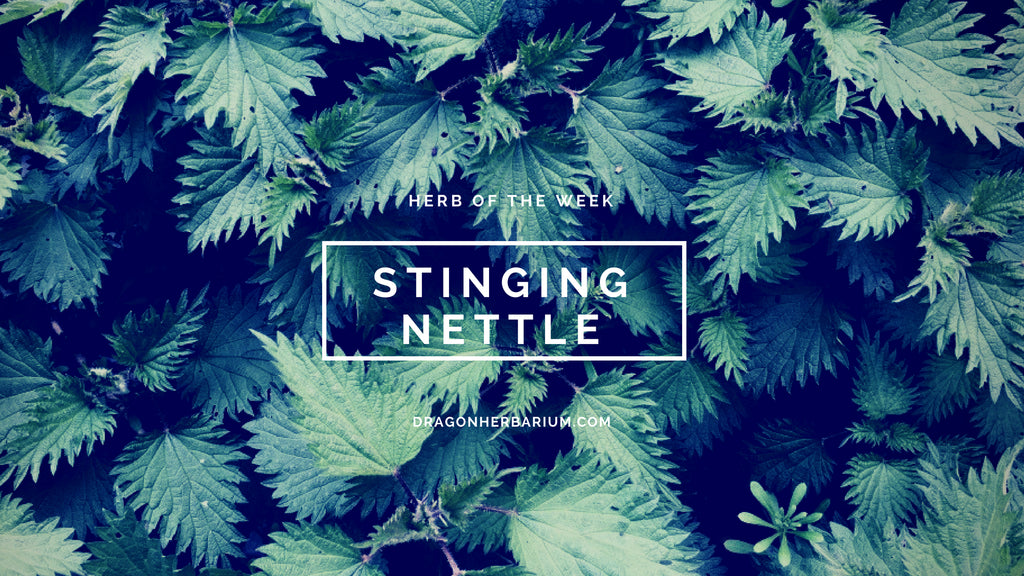 NW Herbal Symposium 2018