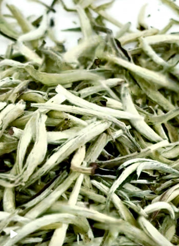Silver Needle White Tea