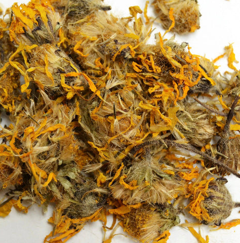 Arnica Flowers - Dragon Herbarium