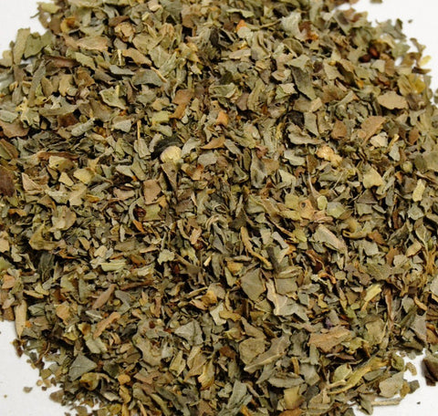 Basil Leaf - Dragon Herbarium