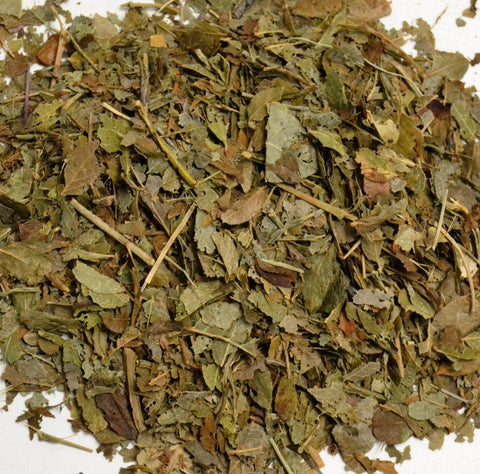 Bilberry Leaf - Dragon Herbarium