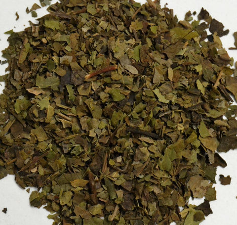 Black Walnut Leaf - Dragon Herbarium