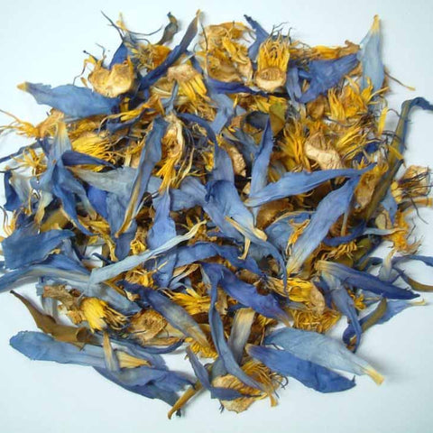 Blue Lotus Flower - Dragon Herbarium