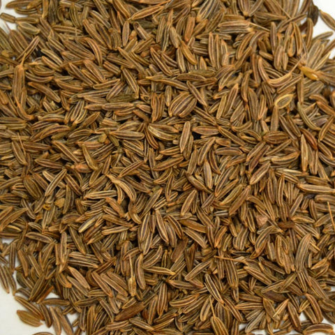 Caraway Seed - Dragon Herbarium
