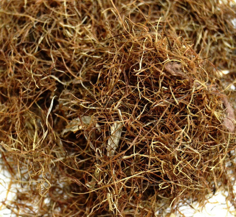 Cornsilk - Dragon Herbarium