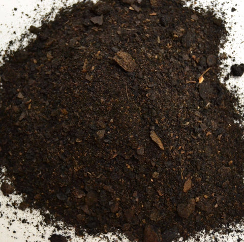 Black Walnut Hulls - Dragon Herbarium