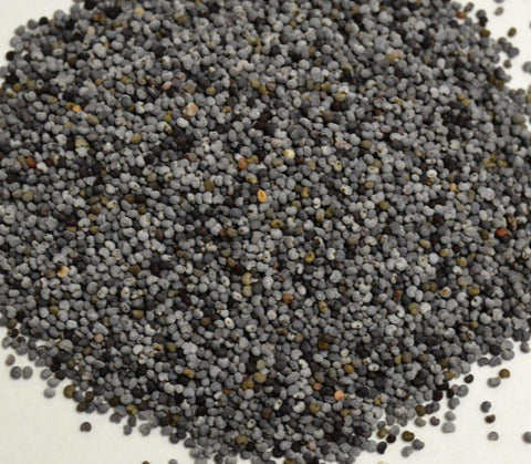 Poppy Seed - Dragon Herbarium