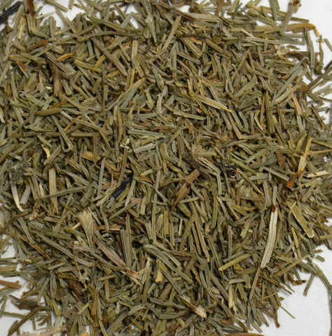 Horsetail (Shavegrass) - Dragon Herbarium