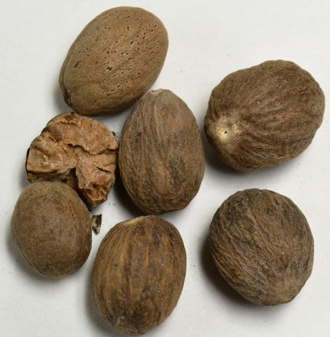 Nutmeg Whole* - Dragon Herbarium
