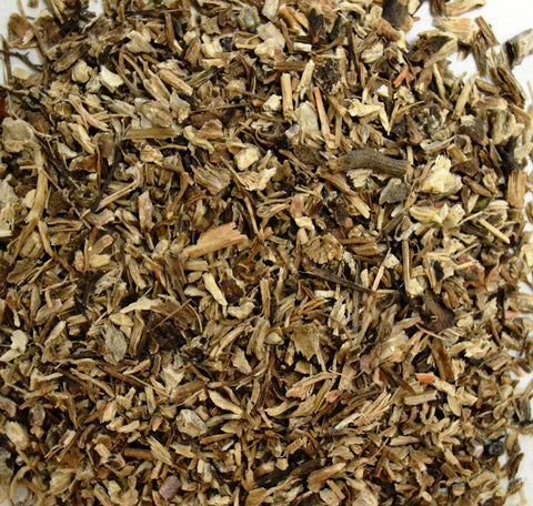 Echinacea Purpurea Root - Dragon Herbarium