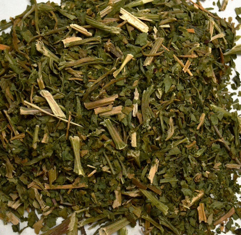 Epazote Herb - Dragon Herbarium