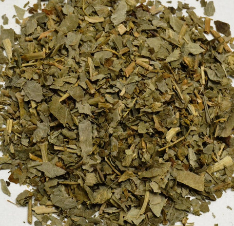 Lady's Mantle - Dragon Herbarium