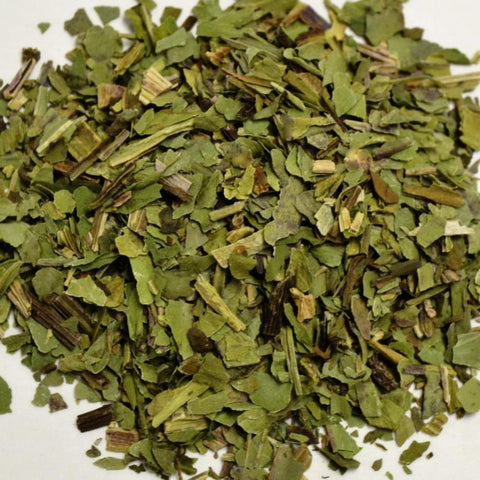 Plantain Leaf - Dragon Herbarium
