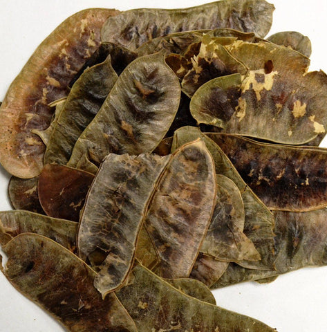 Senna Pods Whole (SENNA ALEXANDRINA) - Dragon Herbarium