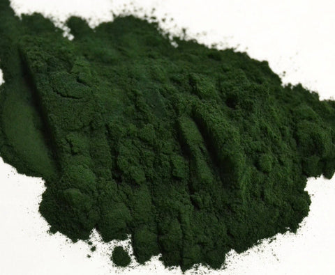 Spirulina Powder - Dragon Herbarium
