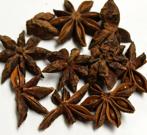 Star Anise - Dragon Herbarium