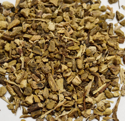 Yellowdock Root - Dragon Herbarium