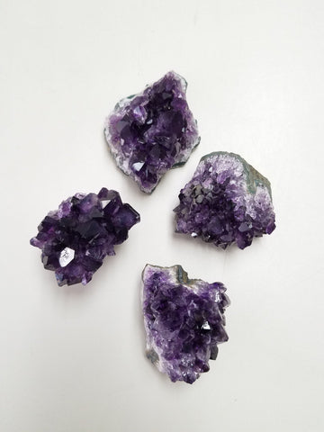 Amethyst - Dragon Herbarium