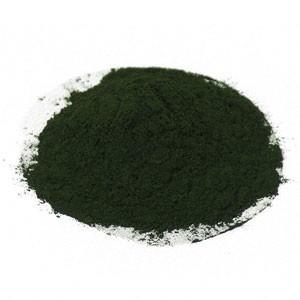 Chlorella Powder (Cracked Cell Walls) - Dragon Herbarium