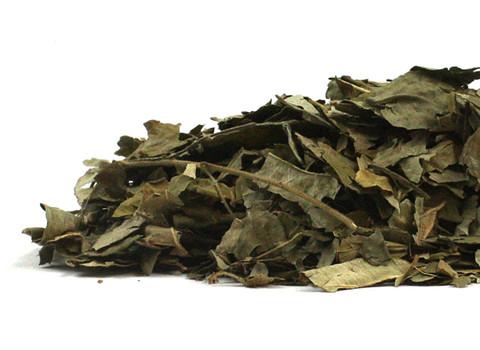 Curry Leaf - Dragon Herbarium