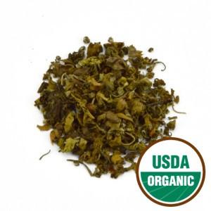 Holy Basil (Rama) - Dragon Herbarium