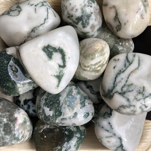 Tree Agate Tumbles