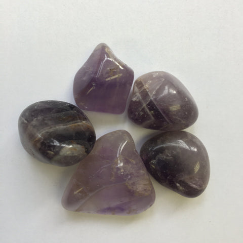 Amethyst Tumbles - Dragon Herbarium