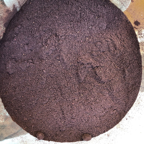 Wild Blueberry Powder