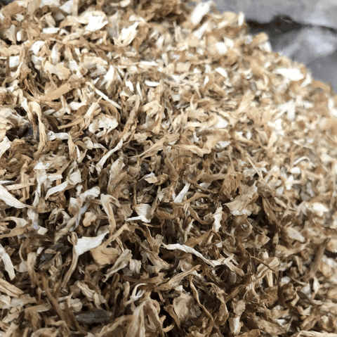 Chrysanthemum, White