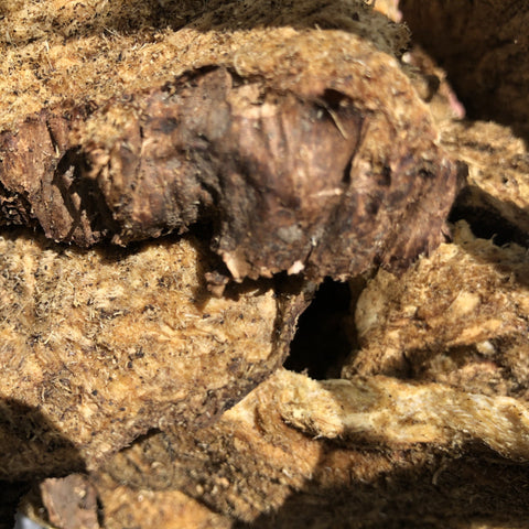 Lomatium Root Slices