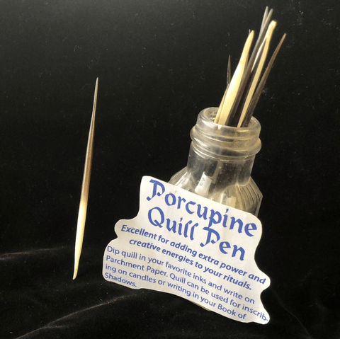 Porcupine Quill
