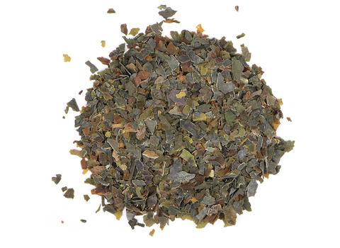 Bullwhip Kelp - Dragon Herbarium