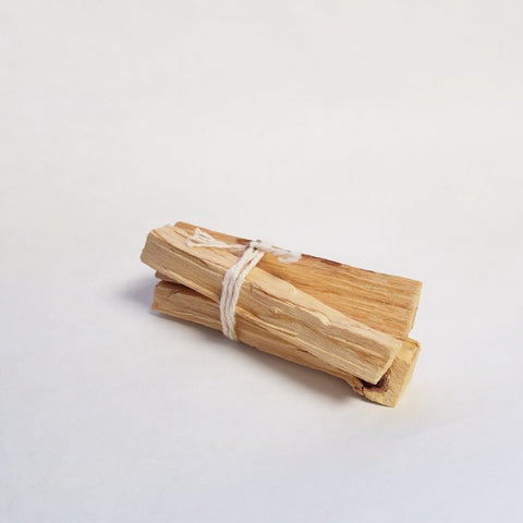 Palo Santo - Dragon Herbarium