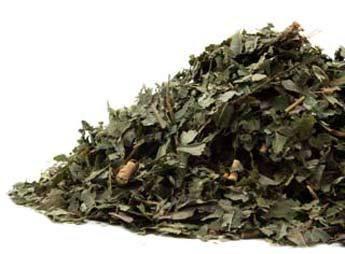 Sassafras Leaf - Dragon Herbarium