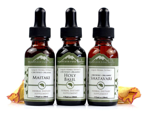 Cilantro Tincture - Dragon Herbarium